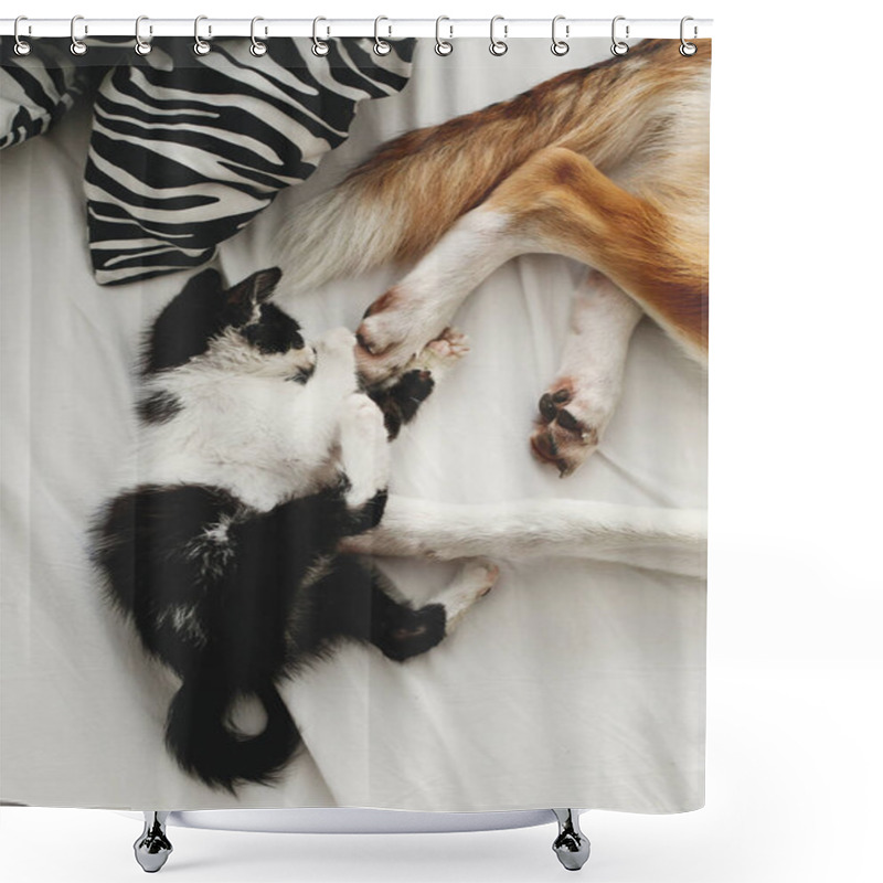 Personality  Cute Kitty And Golden Dog Playing On Bed With Pillows In Stylish Room. Adorable Black And White Kitten And Puppy With Funny Emotions Having Fun On Blanket. Cozy Home, Top View Shower Curtains