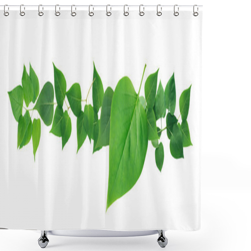 Personality  Green Leaves Border Shower Curtains