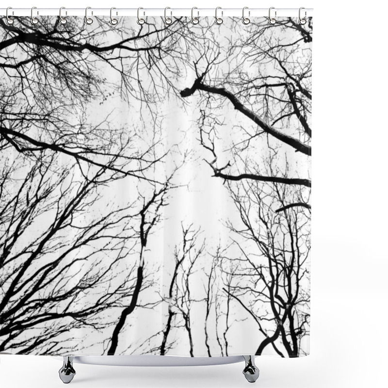 Personality  Silhouette Of An Ancient Trees Shower Curtains