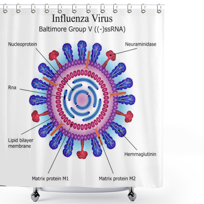 Personality  Diagram Of Influenza Virus Particle Structure Shower Curtains