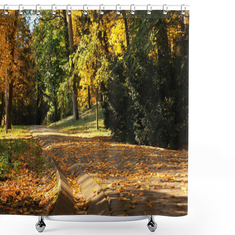 Personality  Pathway, Fallen Leaves And Trees In Beautiful Park On Autumn Day Shower Curtains