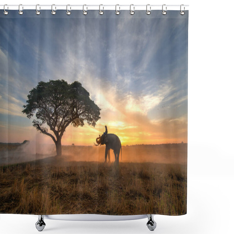 Personality  Elephant At Sunrise In Thailand Shower Curtains