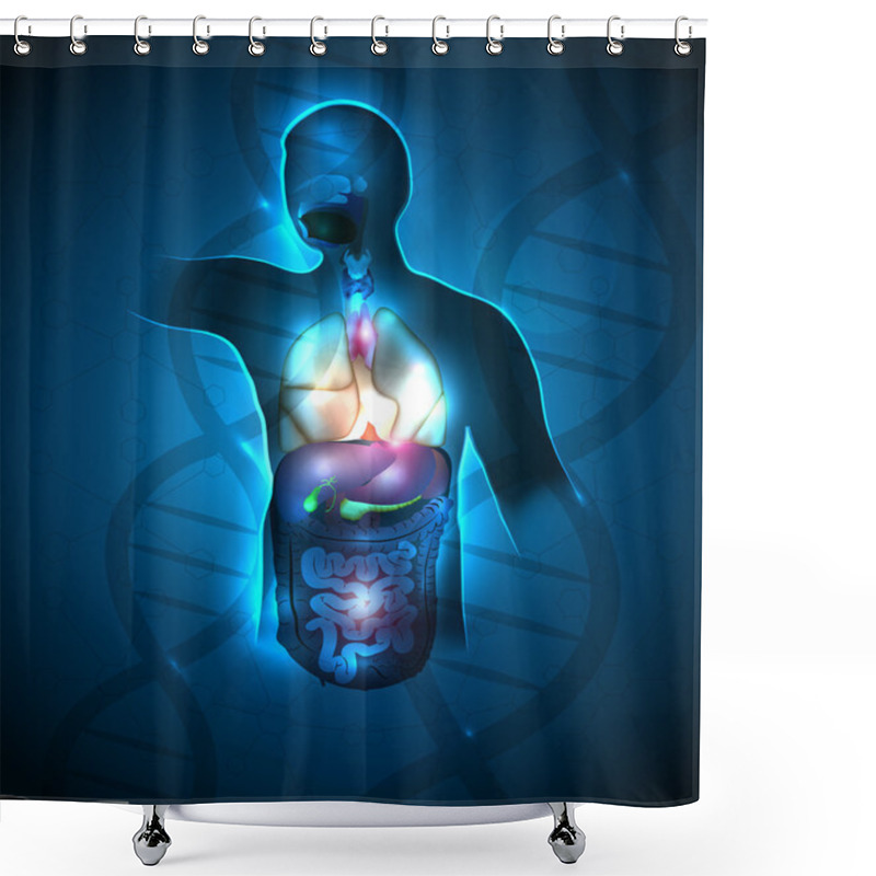 Personality  Detailed Human Anatomy Shower Curtains