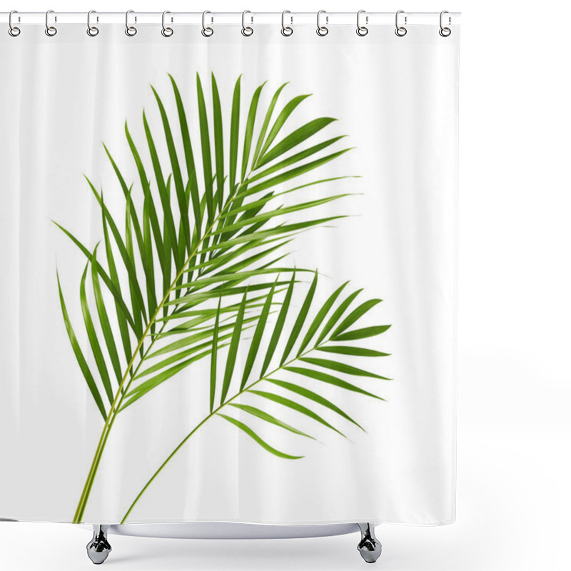 Personality  Yellow Palm Leaves (Dypsis Lutescens) Or Golden Cane Palm, Areca Palm Leaves, Tropical Foliage Isolated On White Background With Clipping Path Shower Curtains