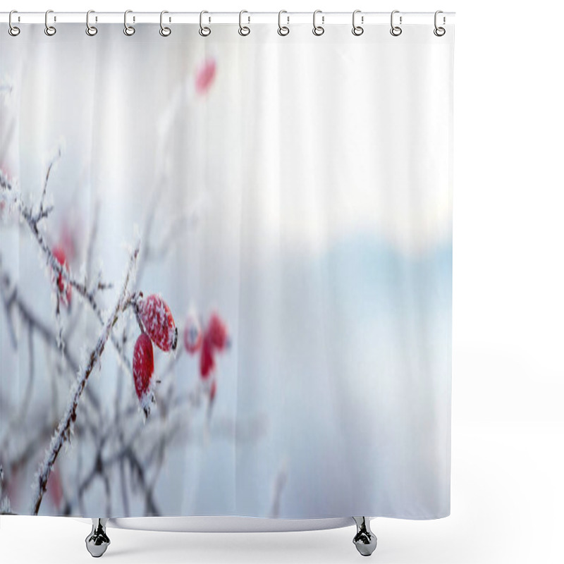 Personality  Frost-covered Rosehip Bush With Red Berries In Winter On A Light Blurred Background Shower Curtains