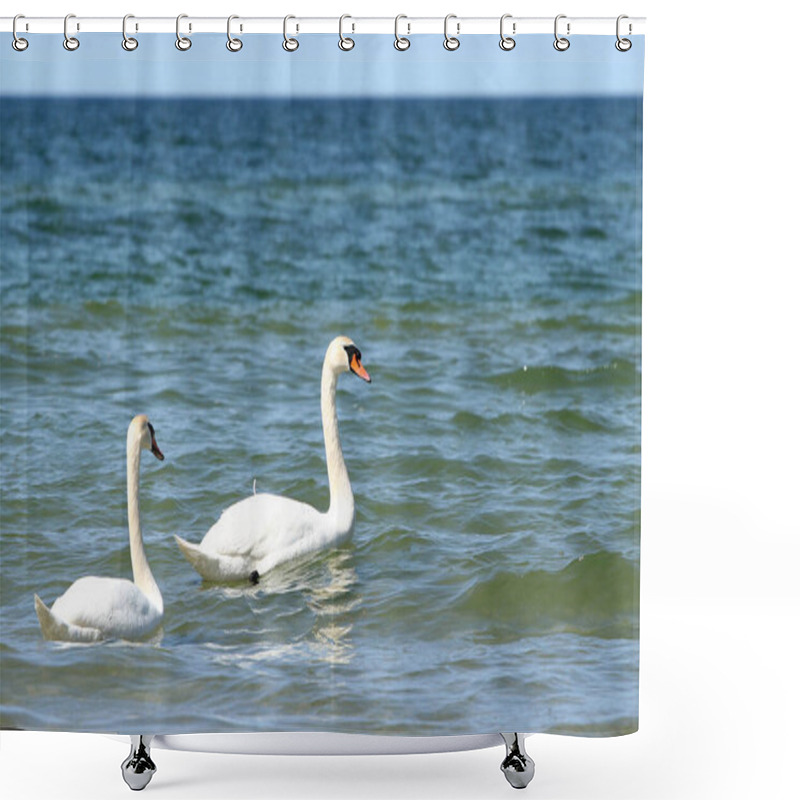 Personality  Sandy Beach With Grassy Dunes, Summer Landscape On The Baltic Sea, Poland Shower Curtains