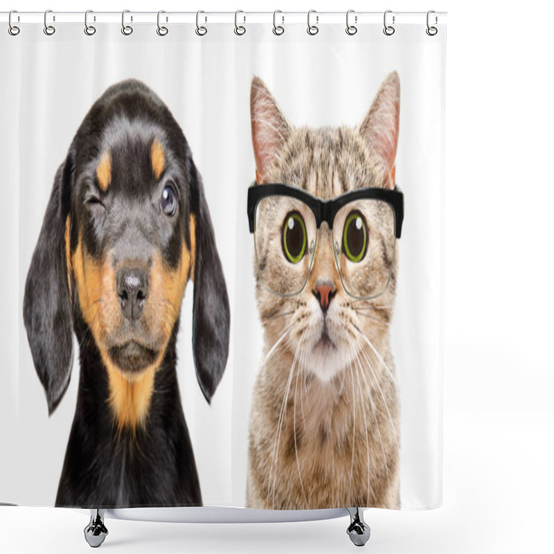 Personality  Portrait Of Dog And Cat With Eyes Diseases Isolated On A White Background Shower Curtains