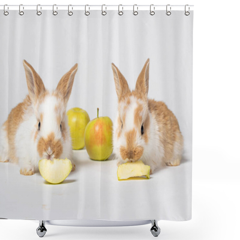 Personality  Two Little Red Fluffy Rabbits Are Eating Yellow Apples On A White Background. Pet Rabbit Food, Photo With Copy Space For Pet Shop And Veterinary Clinic. Shower Curtains