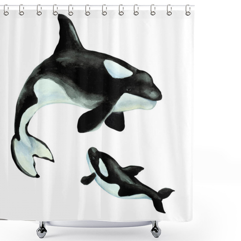 Personality  Big Orca Killer Whale With Cub On A White Background, Hand Drawn Watercolor Illustration. Shower Curtains