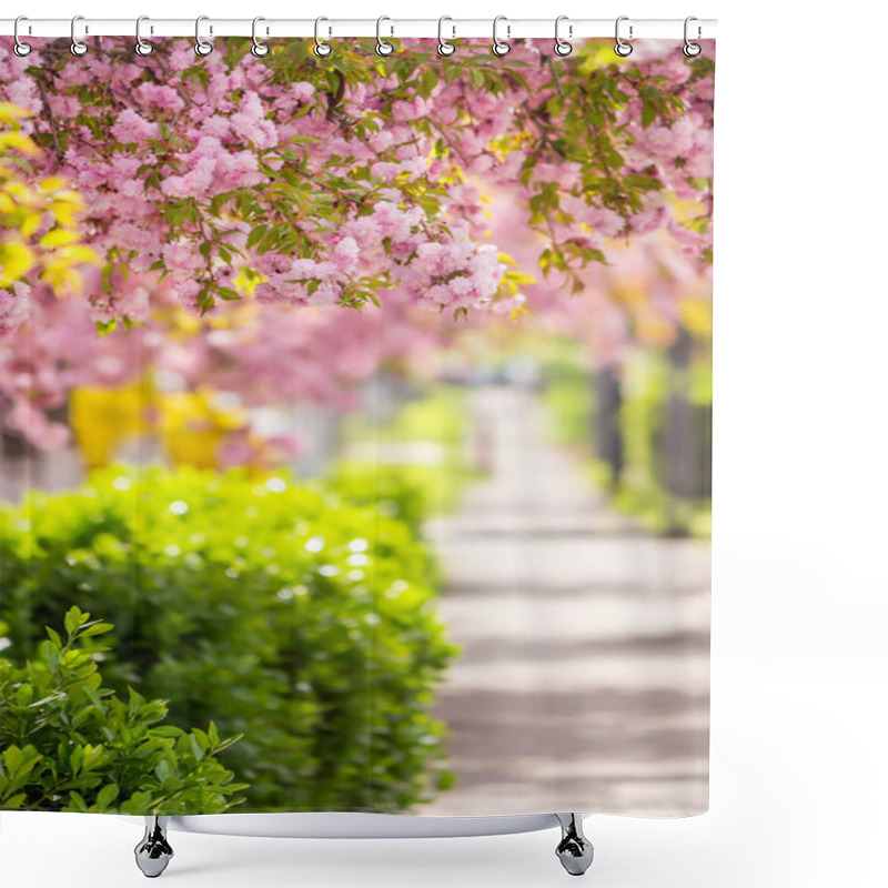 Personality  Pink Blossomed Sakura Flowers Street Shower Curtains