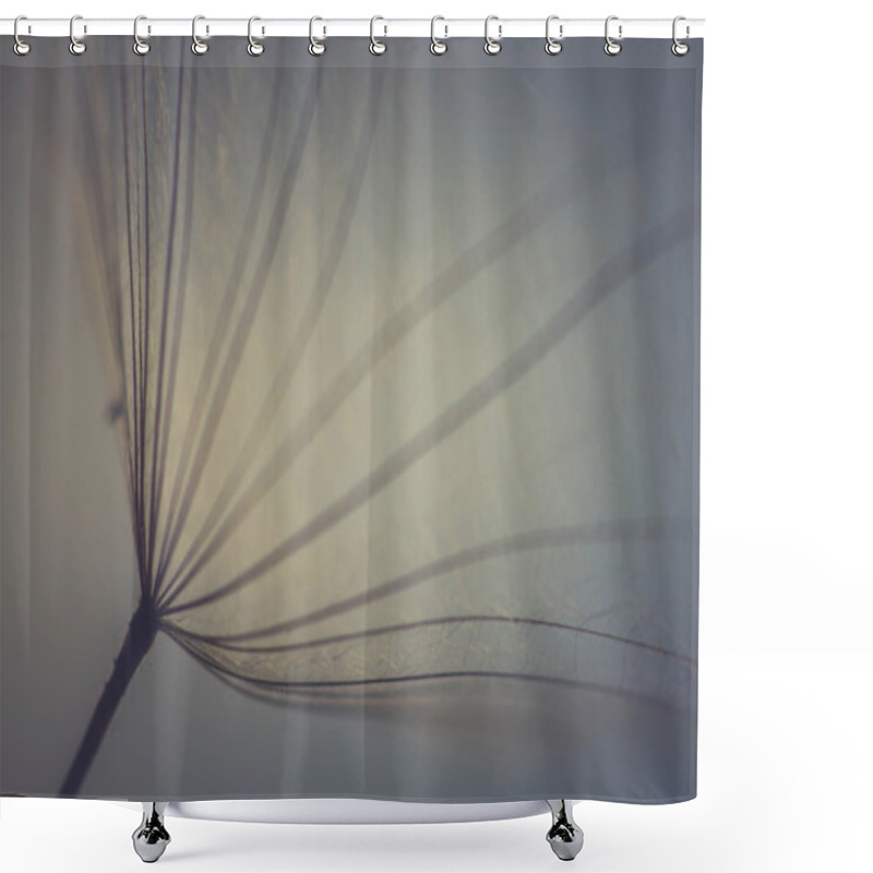 Personality  Abstract Dandelion Flower Background, Extreme Closeup. Big Dandelion On Natural Background. Art Photography Shower Curtains