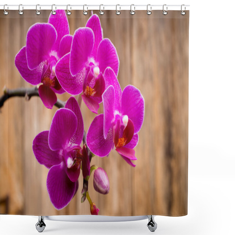 Personality  Orchid. Shower Curtains