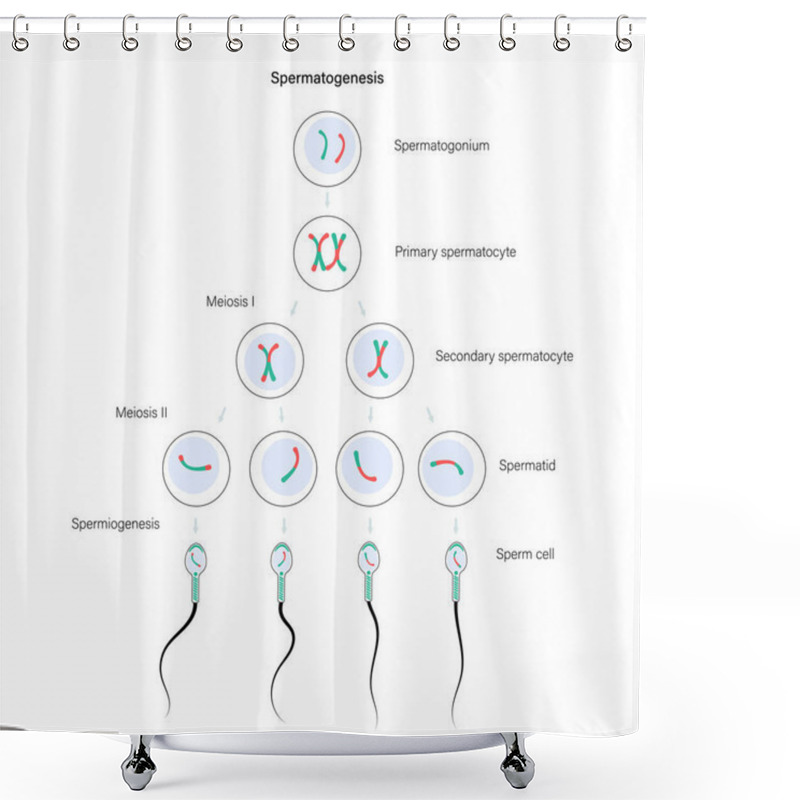 Personality  Reproductive System Concept Shower Curtains