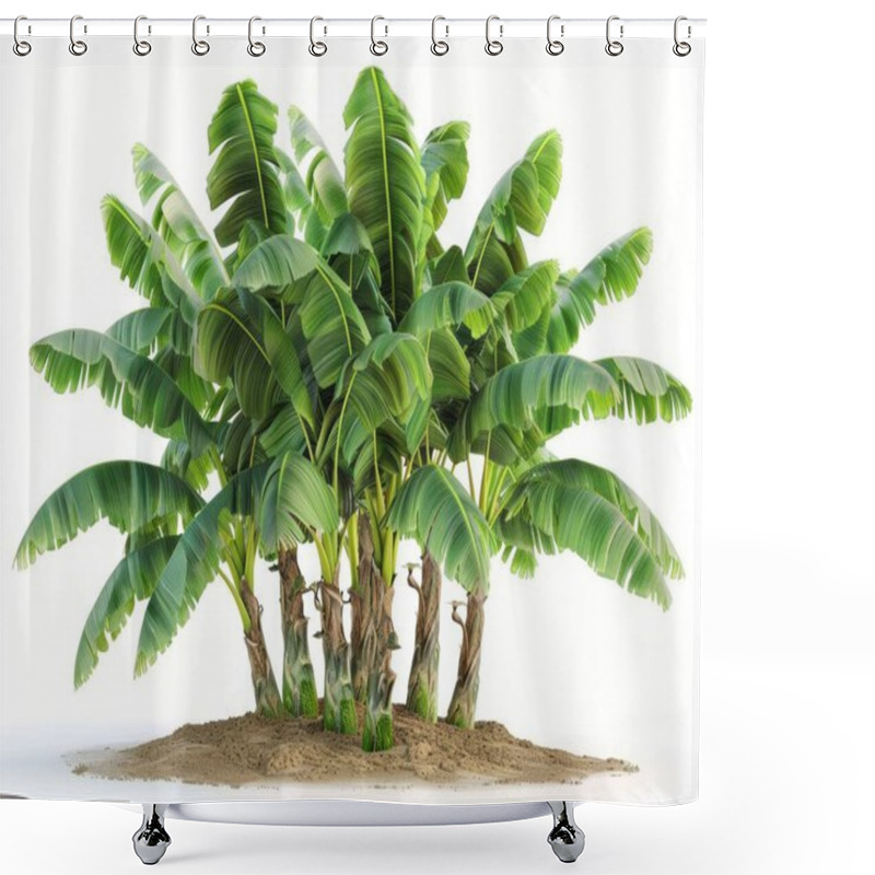 Personality  Lush Banana Plant With Vibrant Green Leaves, Showcasing A Tropical Vibe. Shower Curtains