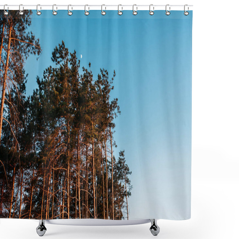 Personality  Beautiful Landscape With Tall Trees Against Blue Sky At Evening Shower Curtains