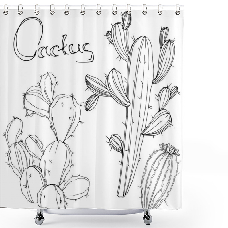 Personality  Vector Cactus. Floral Botanical Flower. Black And White Engraved Ink Art. Isolated Cacti Illustration Element. Shower Curtains