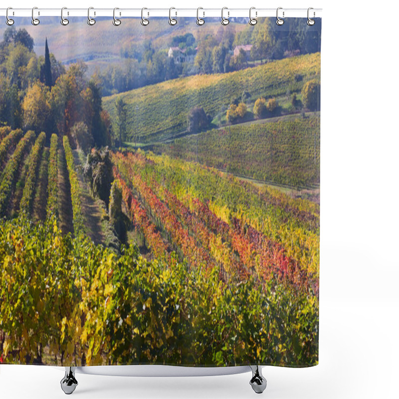 Personality  Italian Vineyard Shower Curtains