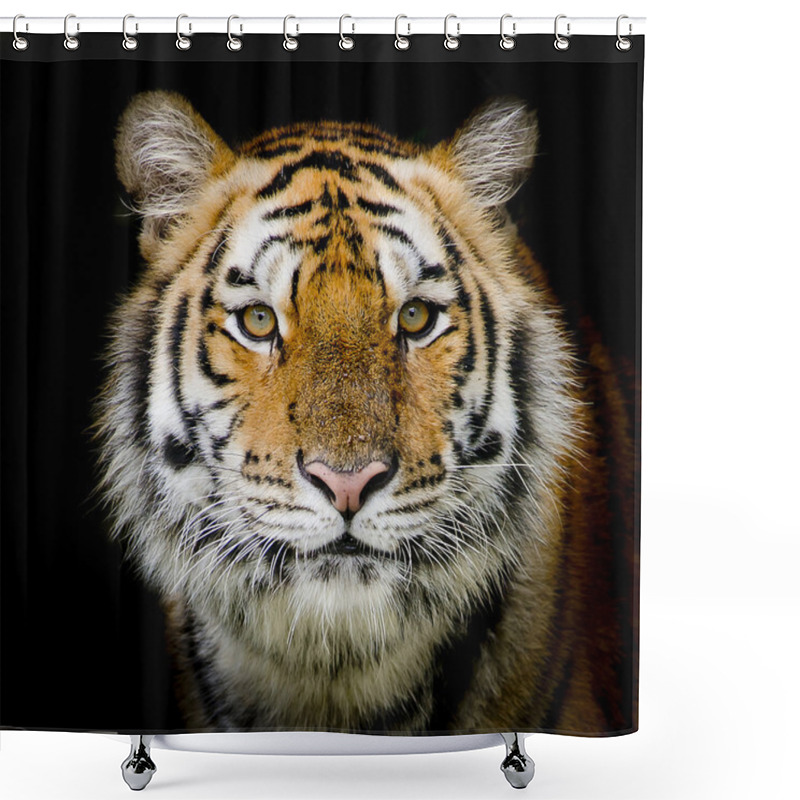 Personality  Tiger  Background Shower Curtains