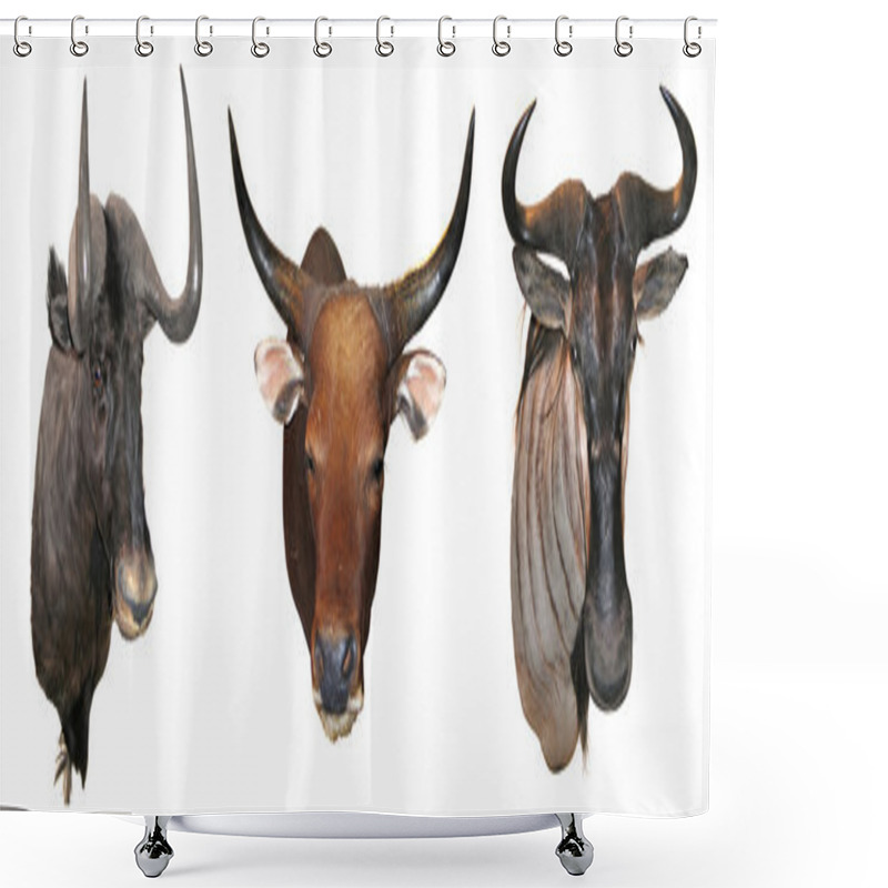 Personality  Stuffed Buffalo Head Shower Curtains