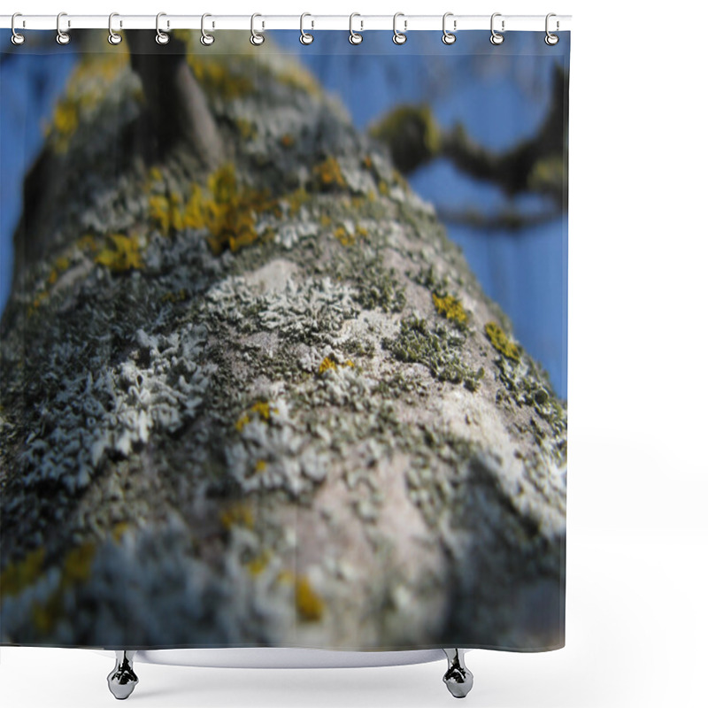 Personality  Lichen On A Tree Shower Curtains