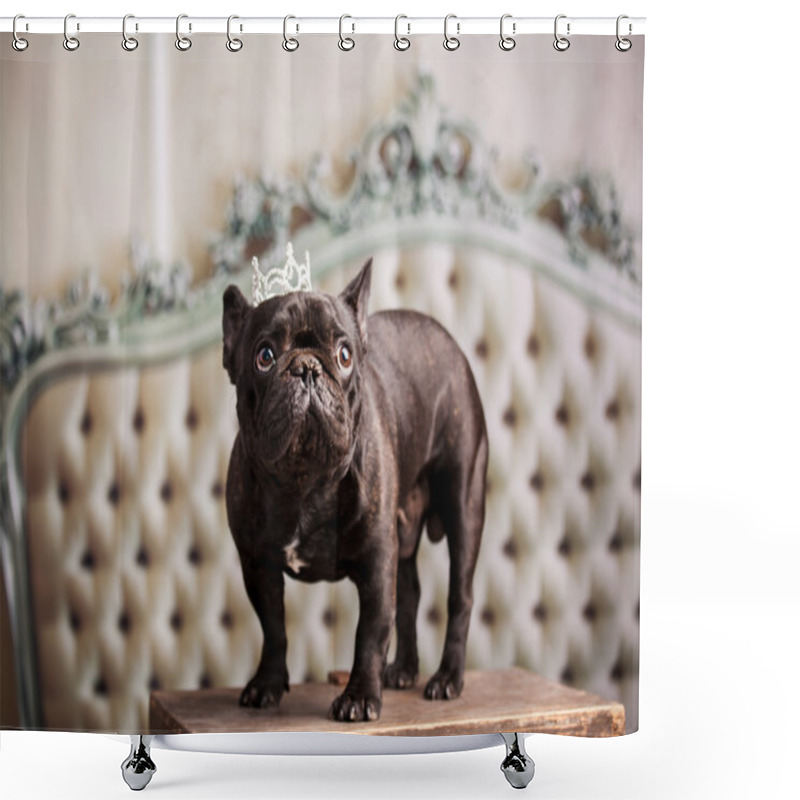 Personality  Nice French Bulldog Shower Curtains