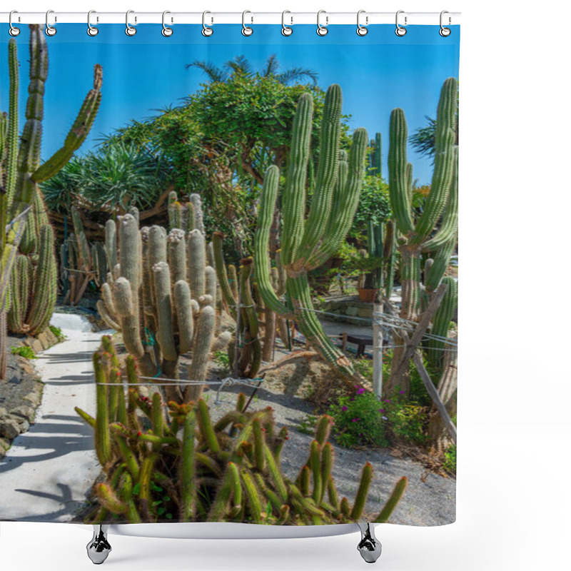 Personality  Succulents And Cactuses At Giardini Ravino Gardens At Forli, Ischia, Italy. Shower Curtains