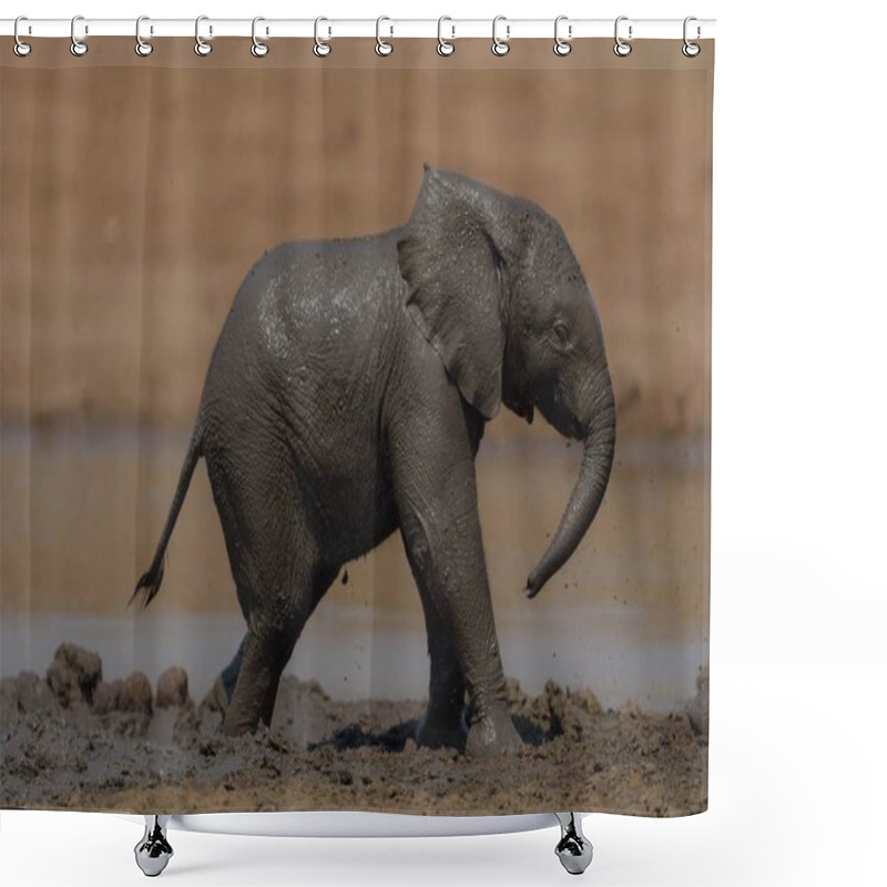 Personality  A Closeup Shot Of A Baby Elephant Walking In The Mud Shower Curtains