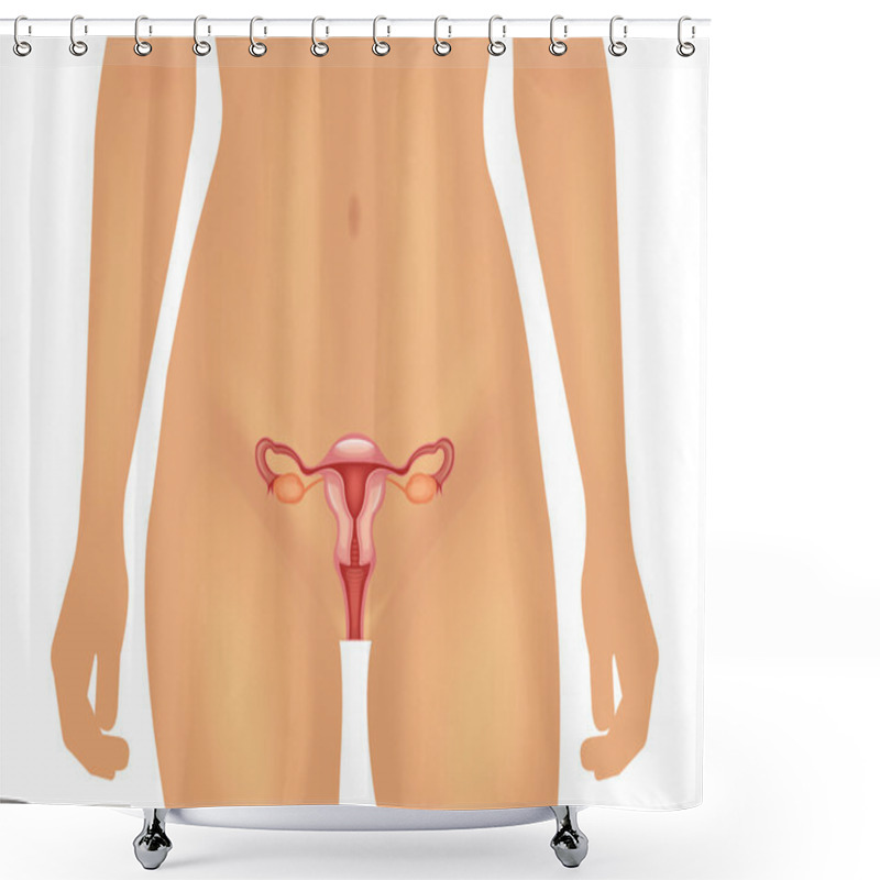 Personality  Female Reproductive System. Vector  Illustration Shower Curtains