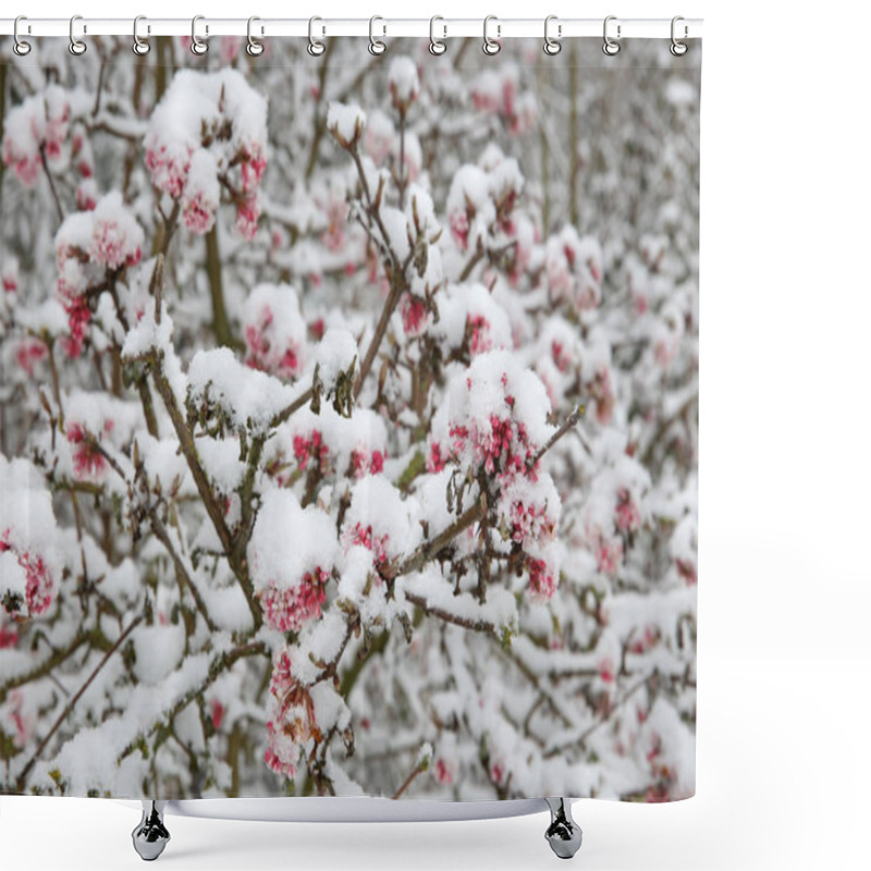 Personality  Beautiful Pink Flowers On Tree Branches Covered With Snow At Frost  Shower Curtains