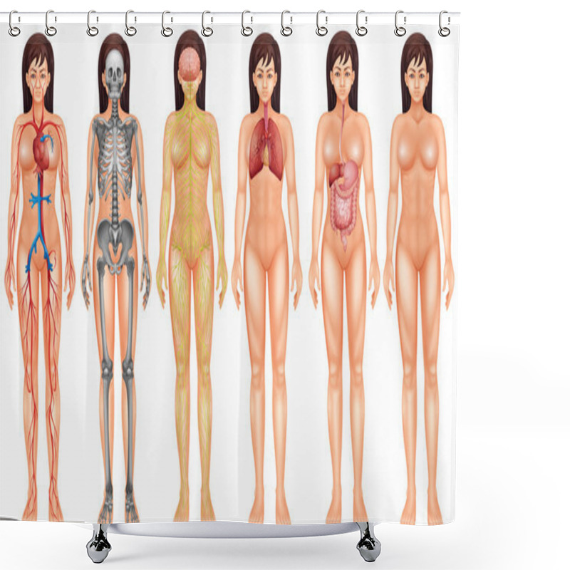 Personality  Body System Shower Curtains