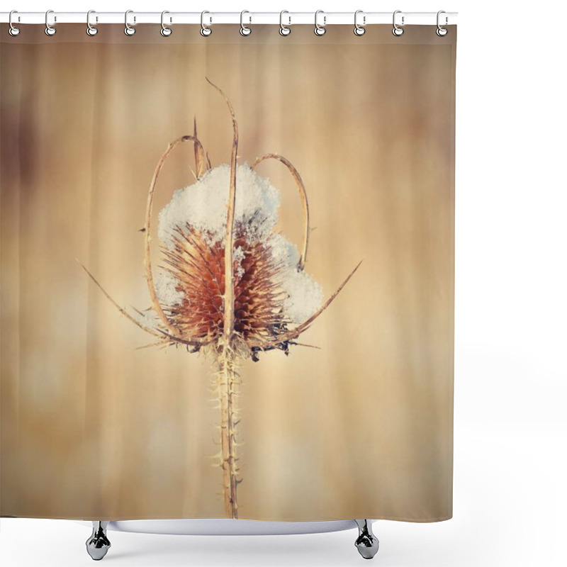 Personality  Frozen Thistle Covered With Snow Shower Curtains