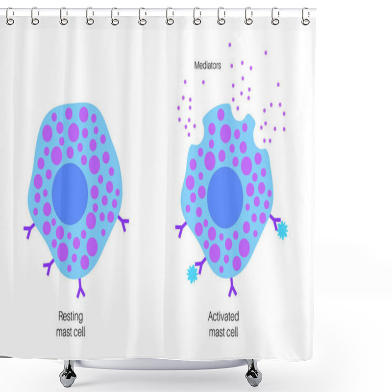 Personality  Mast Cell Poster Shower Curtains