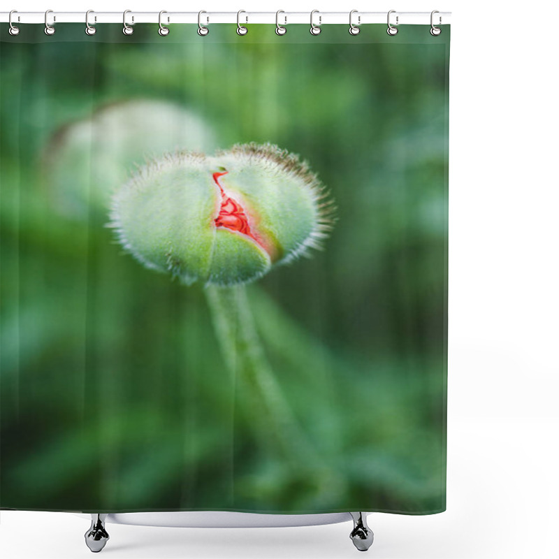 Personality  Tender Red Poppy Bud On Summer Field Background Shower Curtains