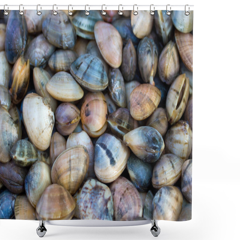 Personality  Sea Shells Clams Shower Curtains