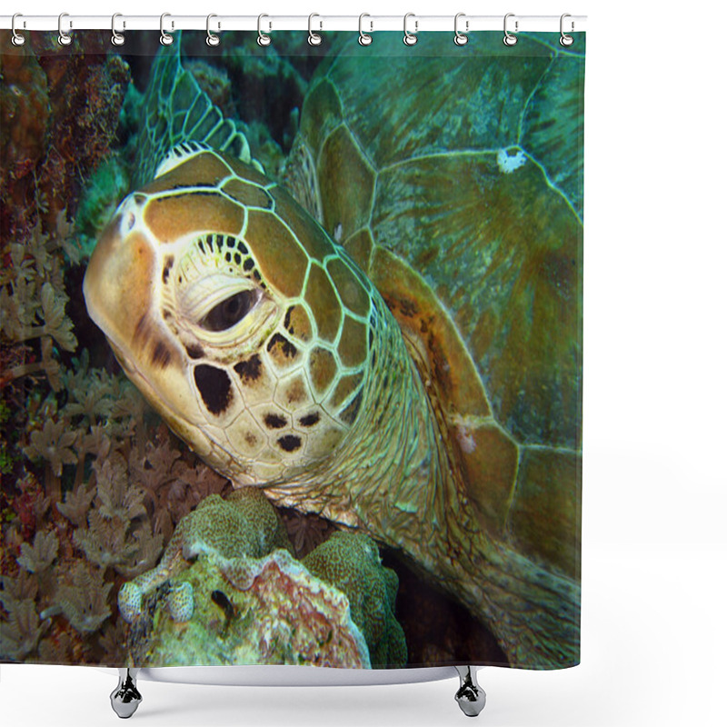 Personality  Green Turtle Close-up Shower Curtains