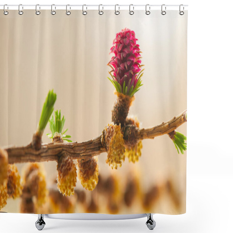 Personality  Larch Flower Shower Curtains