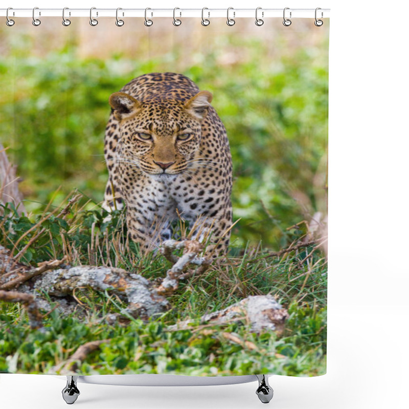 Personality  One Wild Leopard Shower Curtains