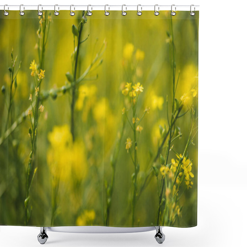 Personality  Blooming Yellow Flowers On Summer Meadow Shower Curtains