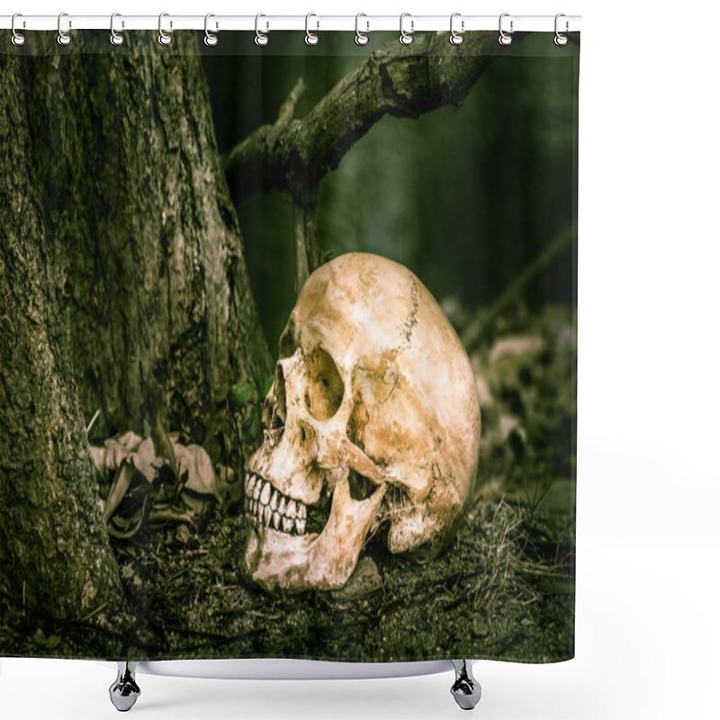 Personality  Still Life Skull Shower Curtains