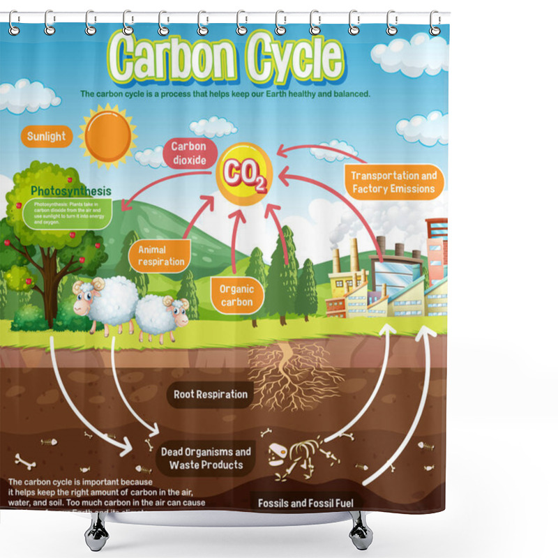 Personality  Carbon Cycle Diagram For Science Education Illustration Shower Curtains