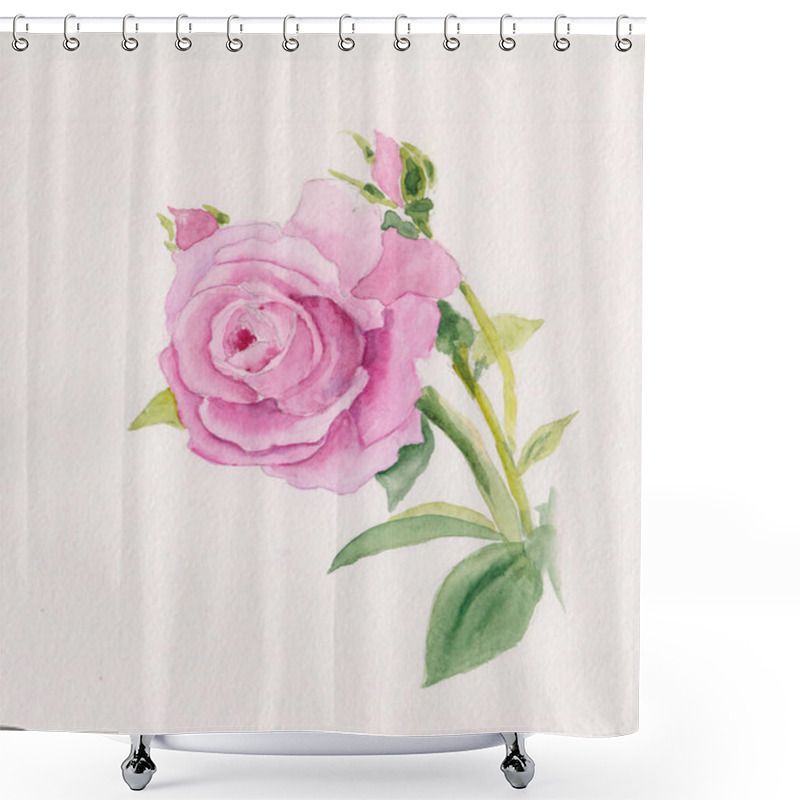 Personality  Watercolor Painting Of Pink Rose On Green Stem With Tiny Young Buds. Stock Rose Illustration Sketch. Ideal For Wedding Invitation, Food, Packaging Decoration, Patterns Or Cloth Prints. Floral Flower Illustration On Paper. Shower Curtains