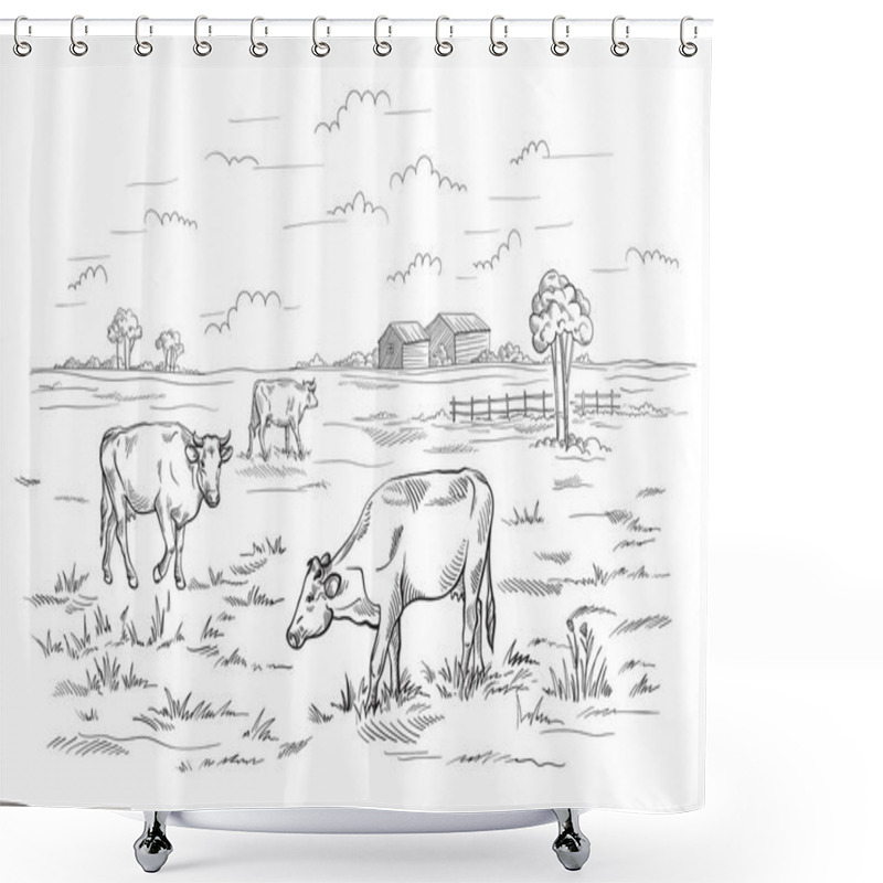 Personality  Cows Grazing On Meadow. Hand Drawn Illustration. Shower Curtains