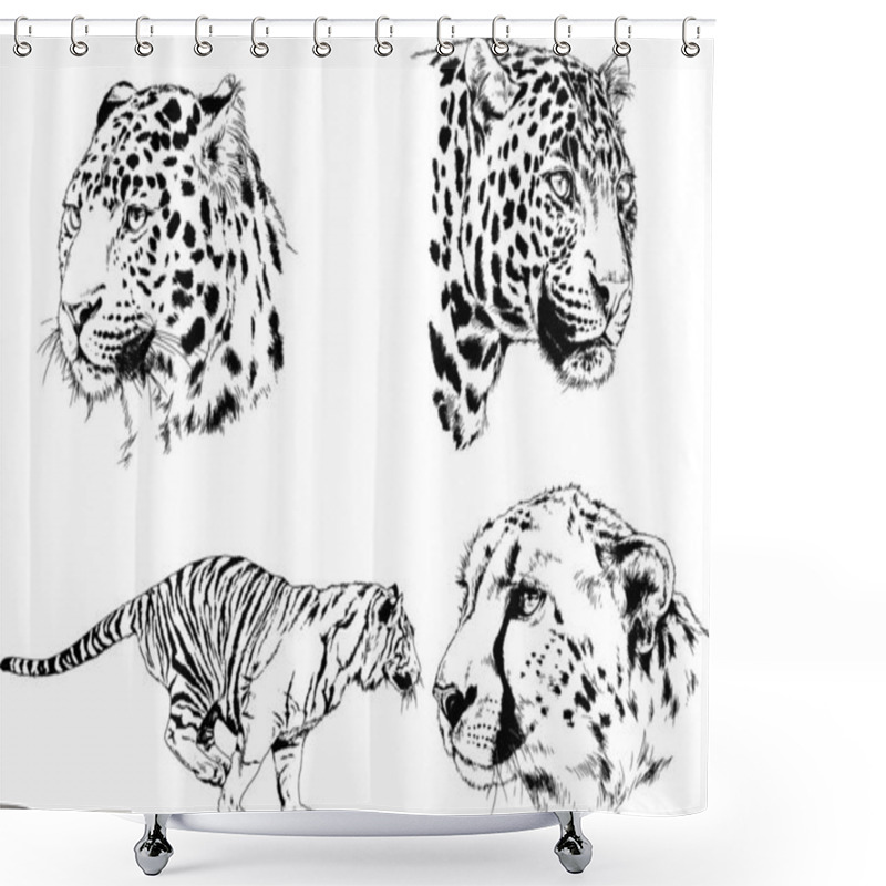 Personality  Set Of Vector Drawings On The Theme Of Predators Tigers Are Drawn By Hand With Ink Tattoo Logos Shower Curtains