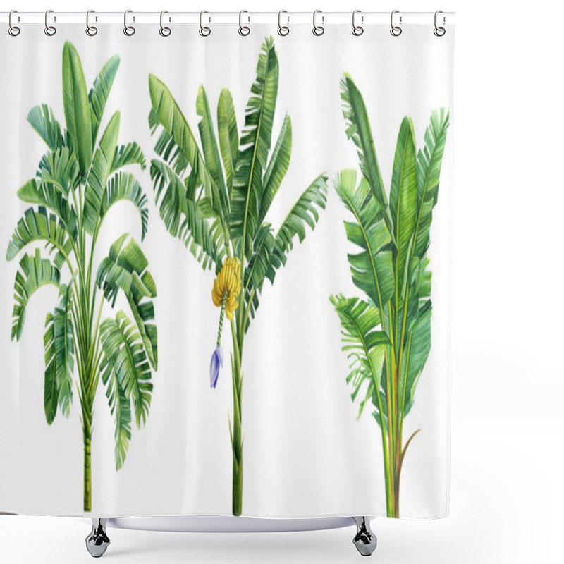 Personality  Palm Trees On Isolated White Background, Tropical Set Palm. High Quality Illustration Shower Curtains