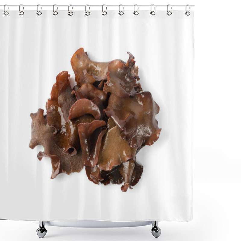 Personality  Wet Black Fungus, Tree Ear Or Wood Ear Mushroom Isolated On White Background Top View. Soaked Dry Auricularia Polytricha Also Known As Cloud Ear, Black Mushroom, Jelly Fungus Or Cloud Ear Fungus Shower Curtains