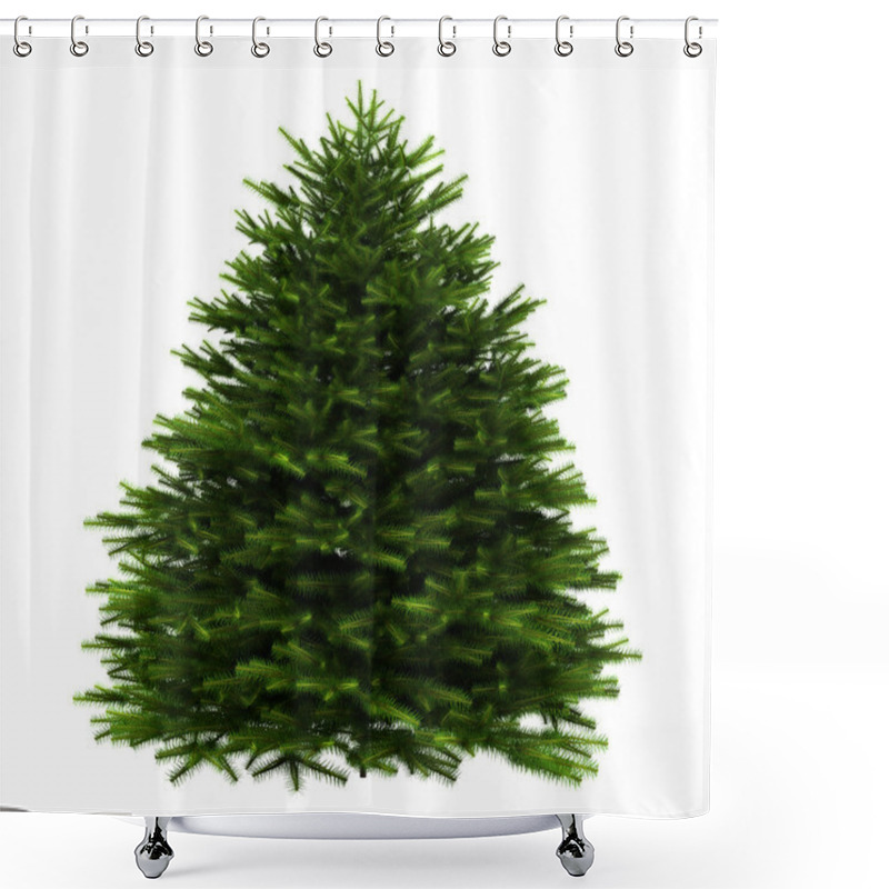 Personality  Momi Fir Tree Isolated On White Background Shower Curtains