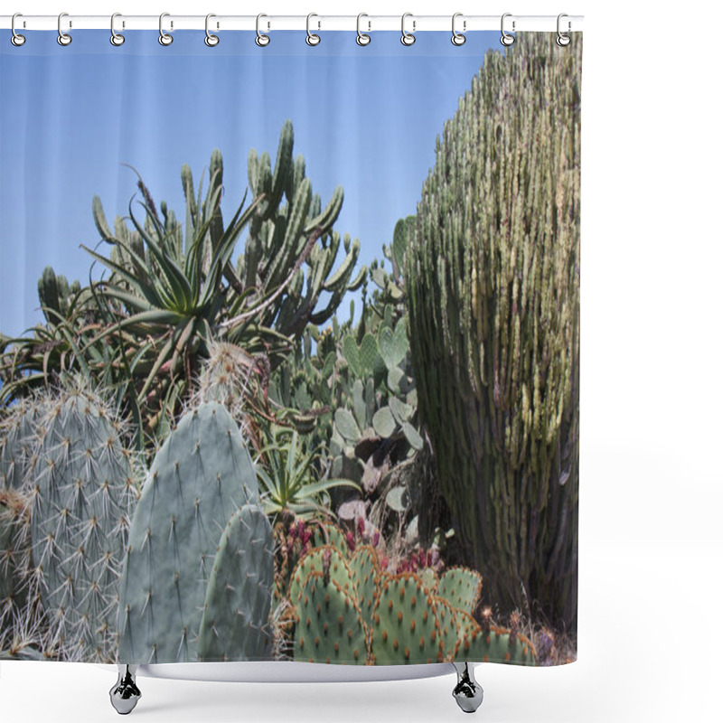 Personality  Cactusfield At La Palma, Canary Islands Shower Curtains