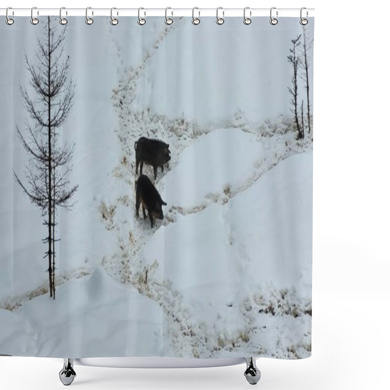 Personality  Black Wolf In The Snow Shower Curtains