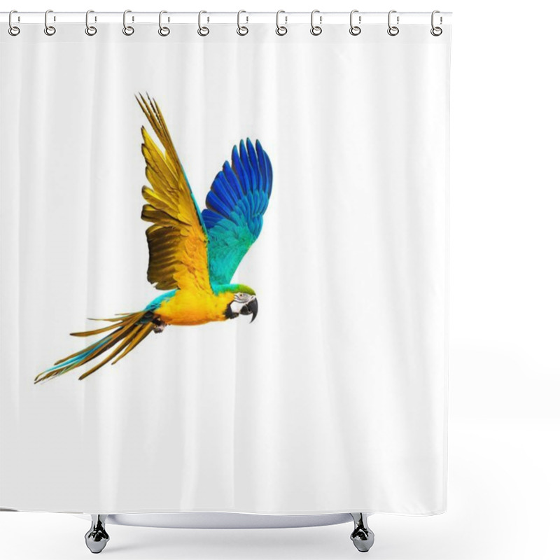 Personality  Colourful Flying Parrot Isolated On White  Shower Curtains