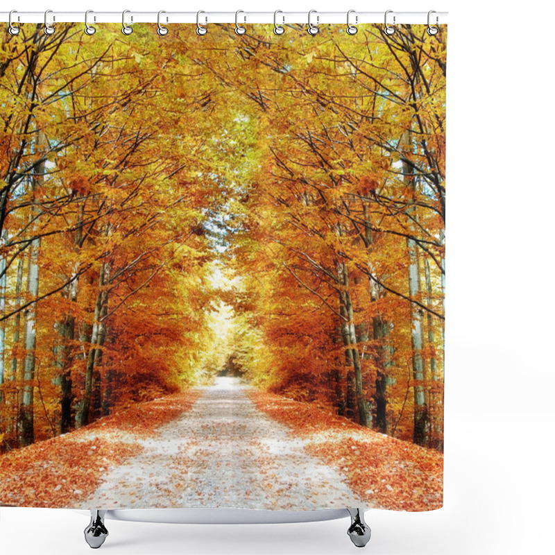 Personality  Pathway In The Forest Shower Curtains